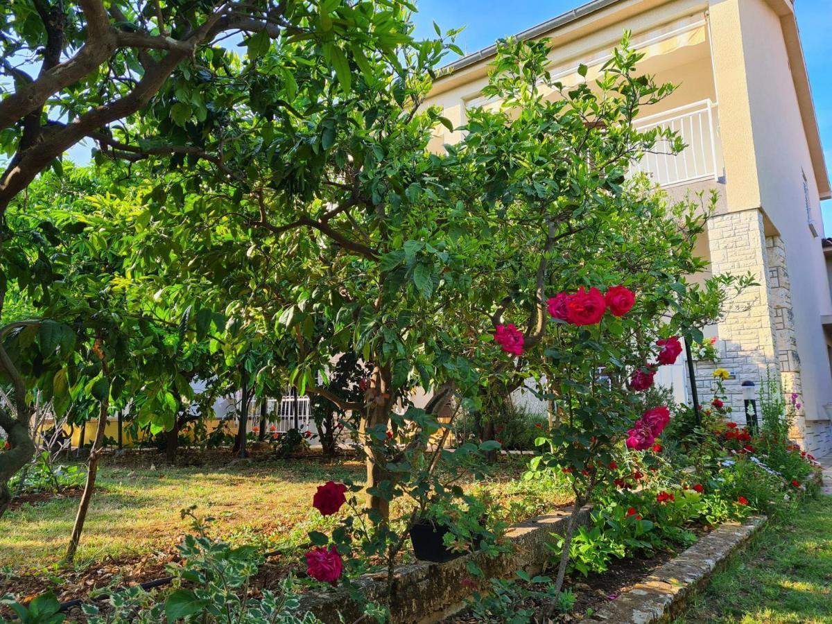 Apartments Ana Medulin Exterior photo